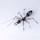 100pcs+ premium series metal worker ant diy 3d model building kits assembly insect