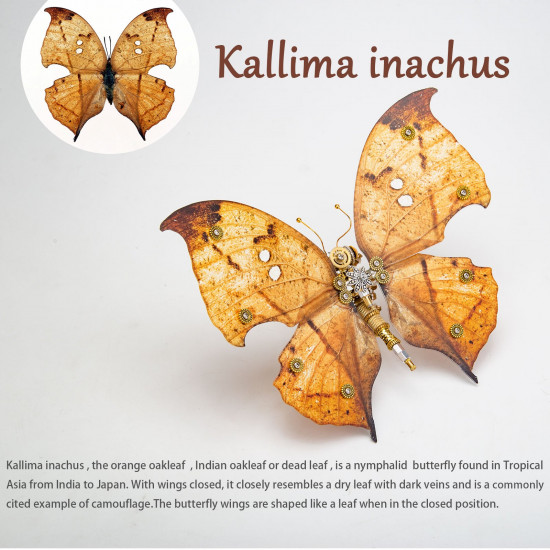 200pcs+ steampunk metal assembly butterfly caligo eurilochusa, kallima inachus & junonia almana