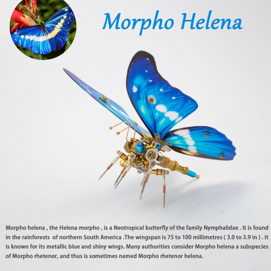 200pcs+ steampunk metal assembly butterfly morpho helena, papilio ulysses & dichorragia nesimachus