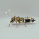 3d metal puzzle female ant steampunk insect diy assembly model 300+pcs