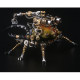 417pcs metal 3d diy mechanical assembly eastern dynastes tityus insect model kit