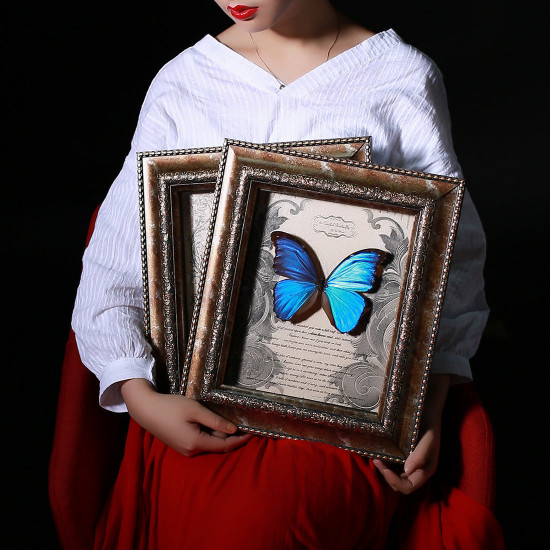 blue morpho butterfly with white  photo frame steampunk specimen model