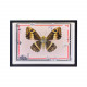 diy steampunk butterfly 3d metal model kits with circuit board framed art