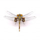 mechanical punk large dragonfly 3d diy insects model metal assembly toy creative ornament (200pcs)