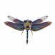 mechanical punk metallic dragonfly 3d diy insects model metal assembly toy creative ornament (200pcs)