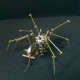 steampunk spider with antique watch western art metal model kits