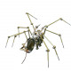 steampunk spider with antique watch western art metal model kits